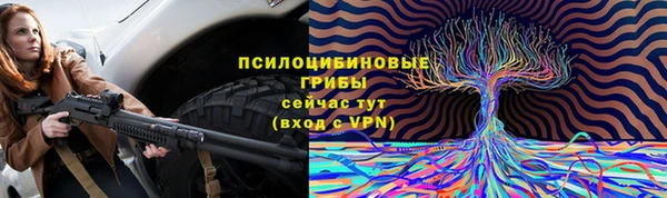 спайс Дмитров