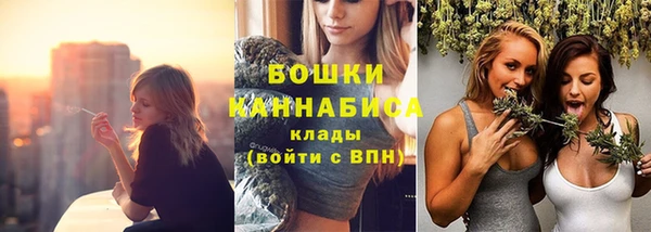 бутират Дмитриев