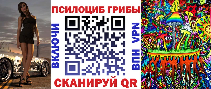 Псилоцибиновые грибы мухоморы  Купить  Звенигород 